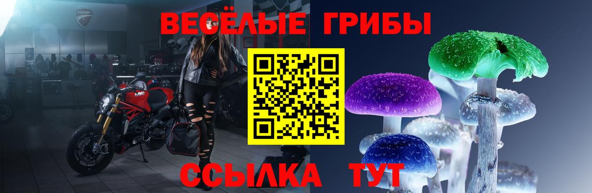 Псилоцибиновые грибы мицелий  Псилоцибиновые грибы прущие грибы  Вход с VPN  Советск 